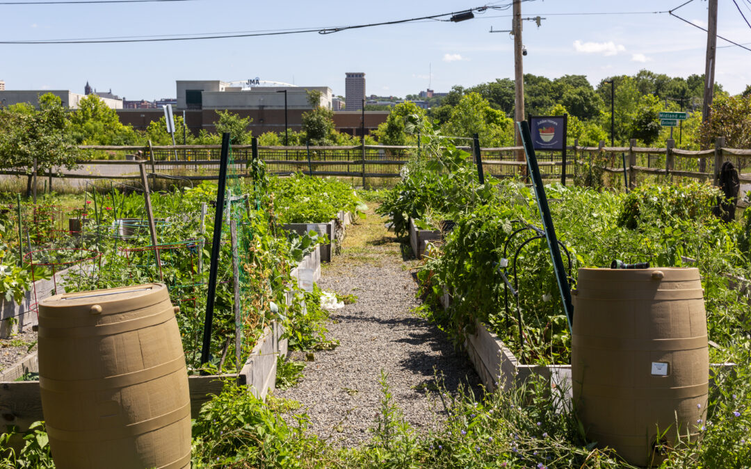 Syracuse Urban Garden Tour 2024